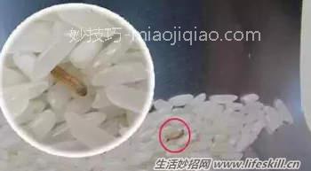 夏天必知的生活小窍门