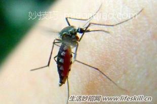 被蚊子叮咬后怎样止痒？ 