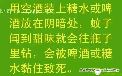 教你几招，蚊子一个夏天都不敢进你房间！