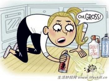 教你3招轻松驱赶蟑螂 
