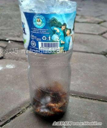 这样做可让蟑螂不进家门 