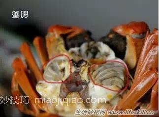 吃时螃蟹时注意这四个部位不能吃 