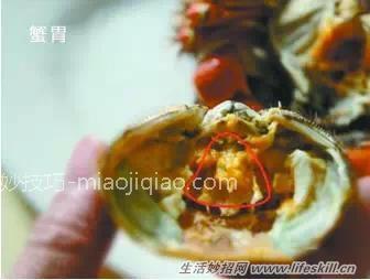 吃时螃蟹时注意这四个部位不能吃