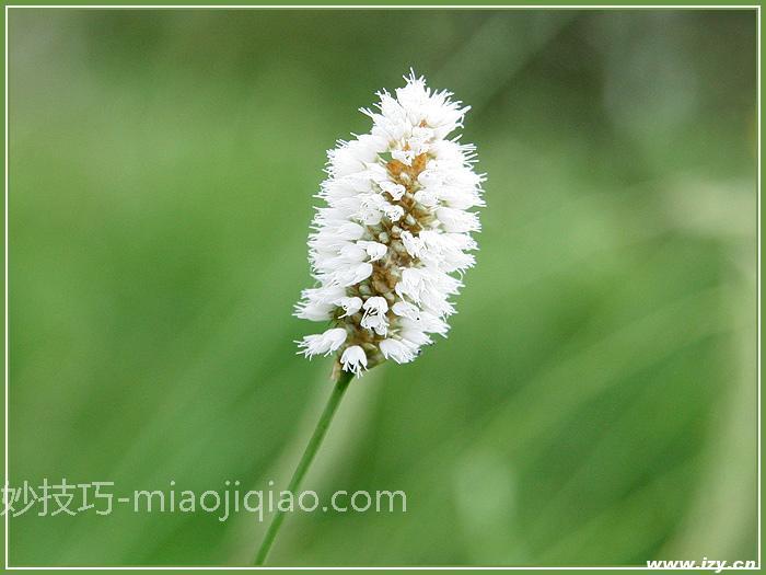 IMG_8484-700