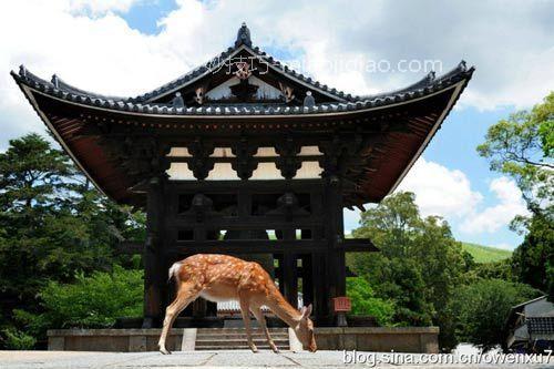 2012日本赏樱完全攻略 