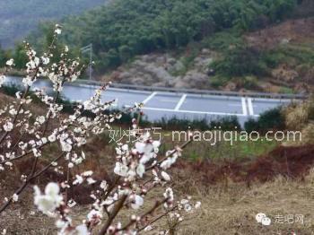 江浙沪最美的几条盘山公路