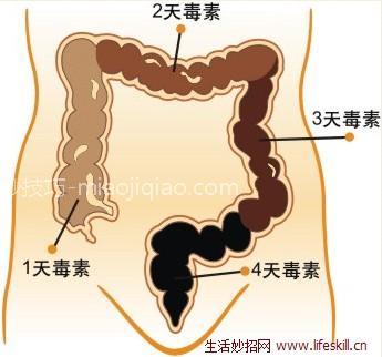 教你如何清肠、除口臭、色斑、大肚腩