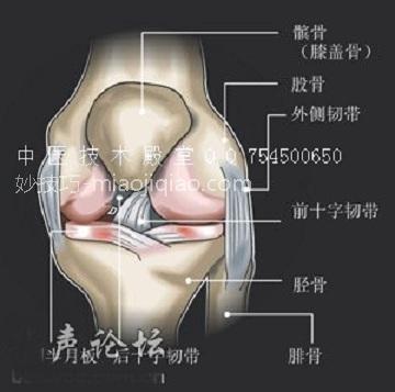 爬山和徒步如何保护膝盖？ 