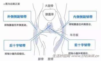 膝盖损伤修复知识小集锦 