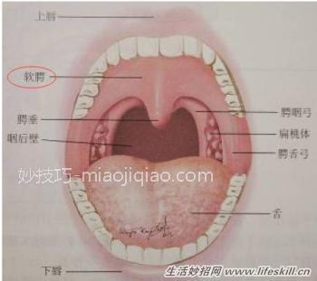 对付“打嗝”的几个妙招 