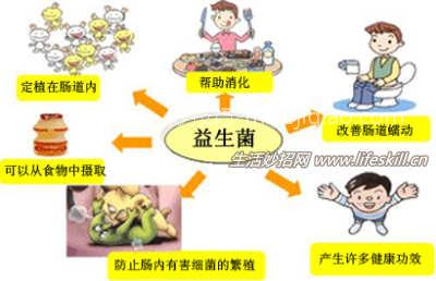 益生菌和益菌生有何不同？ 