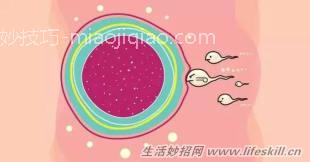 能增强你老公“虫虫”能力的4种方法