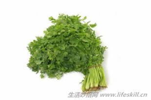 塑料袋15个储存保鲜的功能 