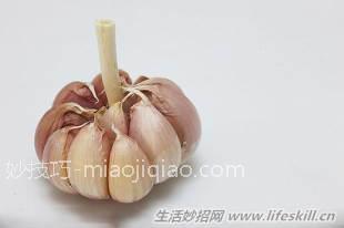 塑料袋15个储存保鲜的功能