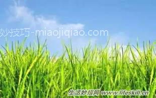 小小盐粒，大用途