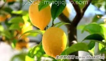 切开的食物吃不完如何保存？ 