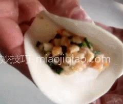 动态演示花样饺子的包法