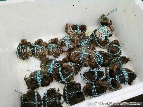 捆绑螃蟹的小方法 