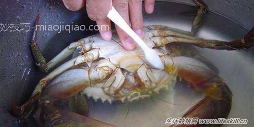 清洗螃蟹的三个小方法 