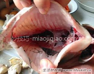 杀鱼时鱼胆破了怎么去苦味？ 