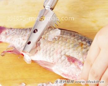 怎样刮鱼鳞不乱飞？ 